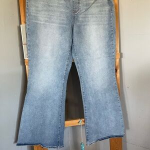 Terra & Sky Light Blue Flare Jeans